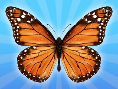 MergeButerfly: 2048!